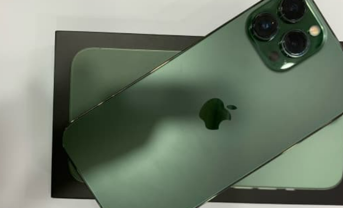 iPhone 13 Pro Max 256 Gb